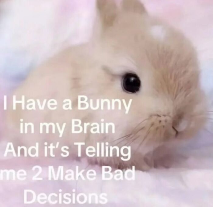 58 Animal Memes That Prove Nature Has A Very Strange Sense Of Humor