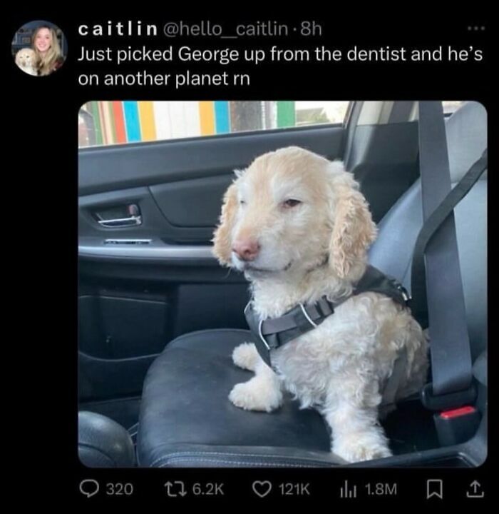 58 Animal Memes That Prove Nature Has A Very Strange Sense Of Humor