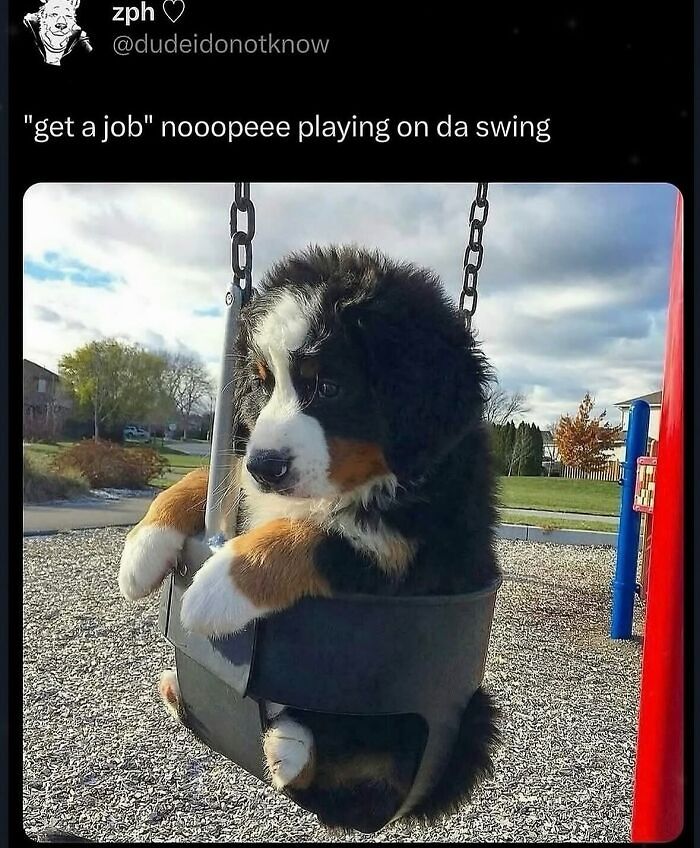 58 Animal Memes That Prove Nature Has A Very Strange Sense Of Humor
