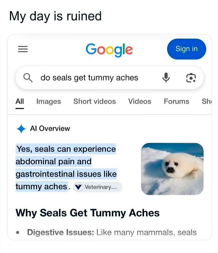 58 Animal Memes That Prove Nature Has A Very Strange Sense Of Humor