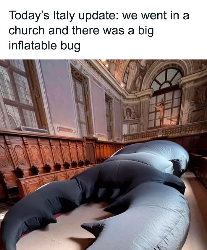 58 Animal Memes That Prove Nature Has A Very Strange Sense Of Humor