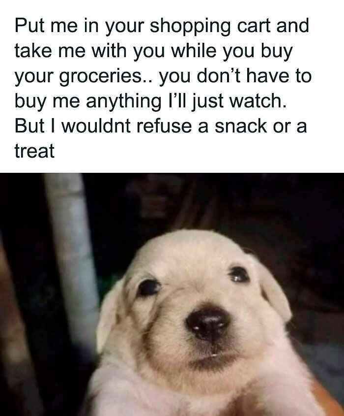 58 Animal Memes That Prove Nature Has A Very Strange Sense Of Humor