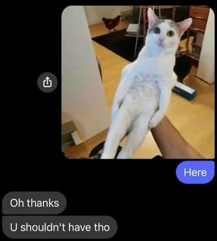 58 Animal Memes That Prove Nature Has A Very Strange Sense Of Humor