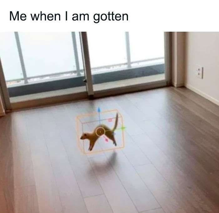 58 Animal Memes That Prove Nature Has A Very Strange Sense Of Humor