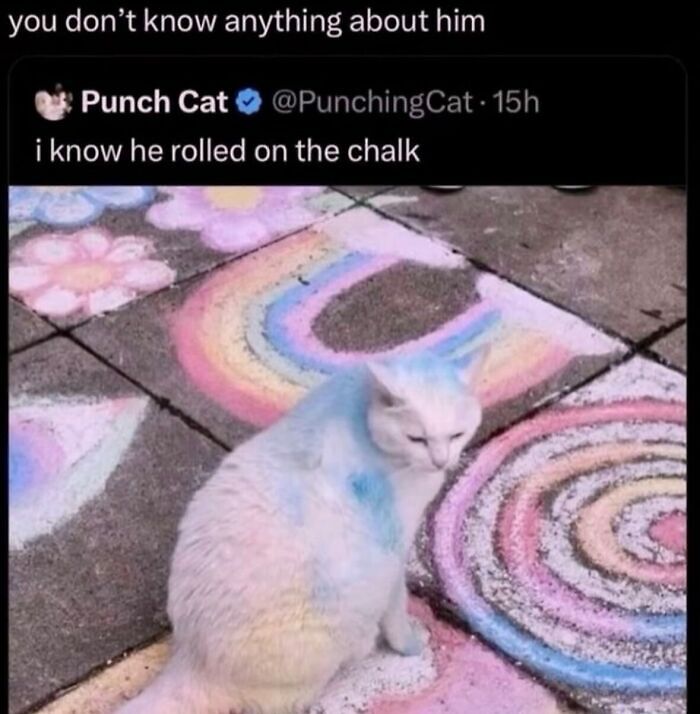 58 Animal Memes That Prove Nature Has A Very Strange Sense Of Humor