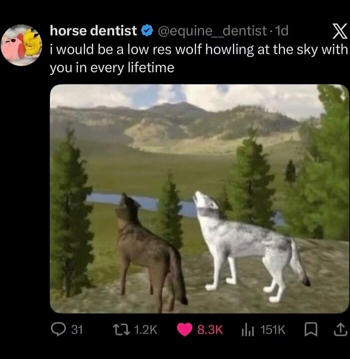58 Animal Memes That Prove Nature Has A Very Strange Sense Of Humor