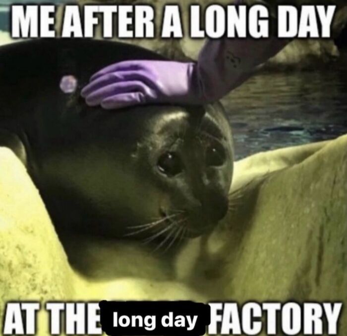58 Animal Memes That Prove Nature Has A Very Strange Sense Of Humor