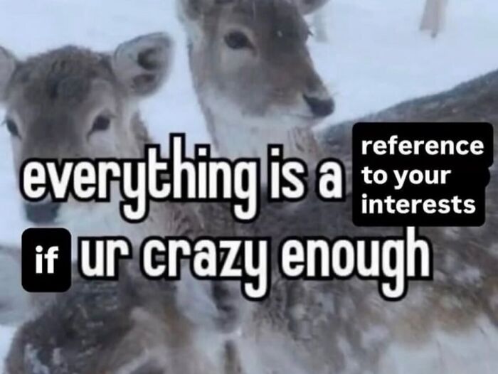 58 Animal Memes That Prove Nature Has A Very Strange Sense Of Humor