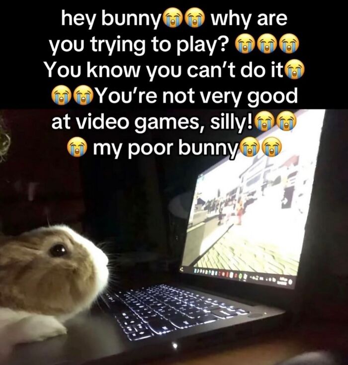 58 Animal Memes That Prove Nature Has A Very Strange Sense Of Humor
