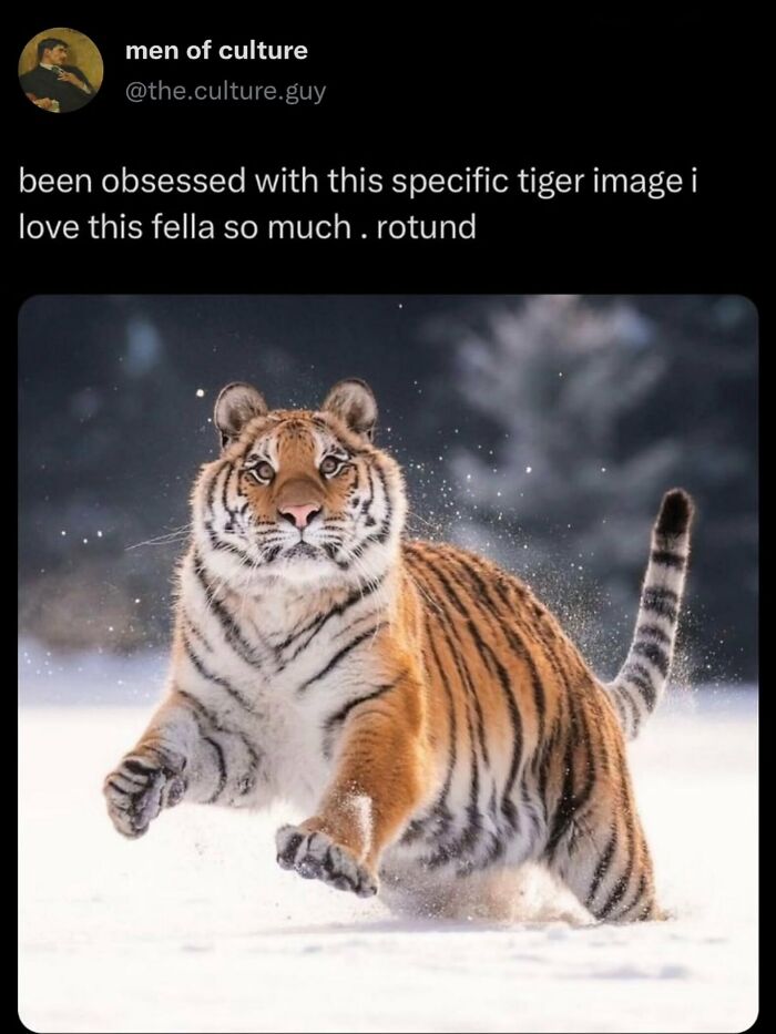 58 Animal Memes That Prove Nature Has A Very Strange Sense Of Humor