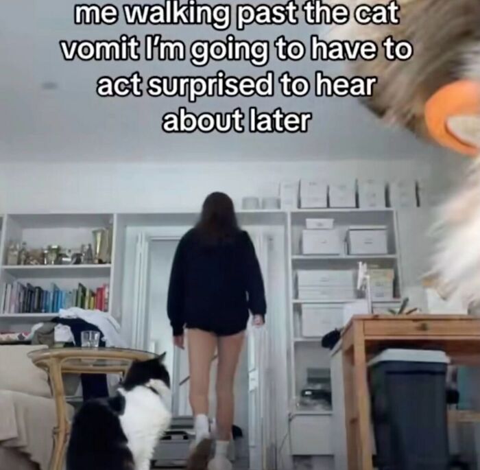 58 Animal Memes That Prove Nature Has A Very Strange Sense Of Humor