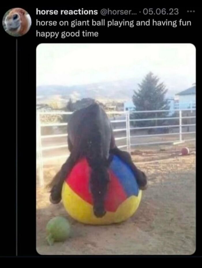 58 Animal Memes That Prove Nature Has A Very Strange Sense Of Humor