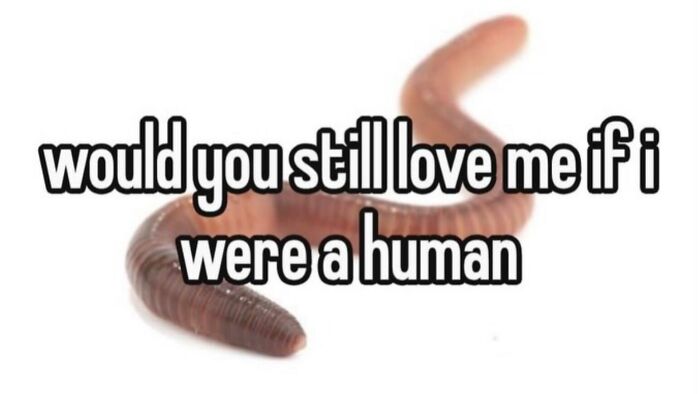 58 Animal Memes That Prove Nature Has A Very Strange Sense Of Humor