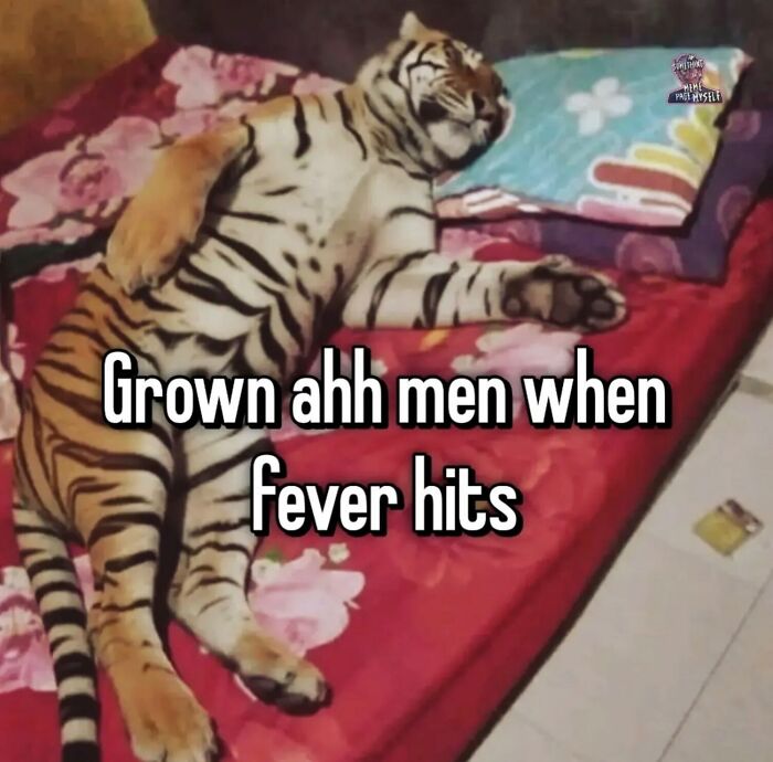58 Animal Memes That Prove Nature Has A Very Strange Sense Of Humor