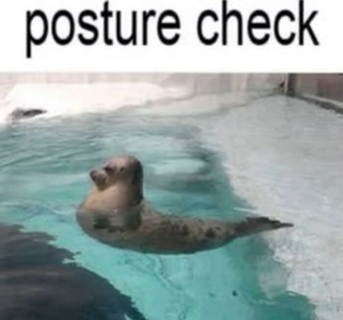 58 Animal Memes That Prove Nature Has A Very Strange Sense Of Humor