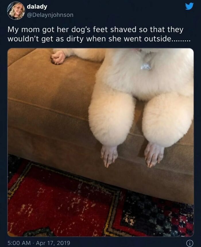 58 Animal Memes That Prove Nature Has A Very Strange Sense Of Humor
