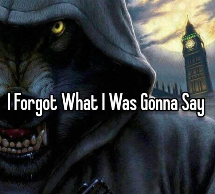 58 Animal Memes That Prove Nature Has A Very Strange Sense Of Humor