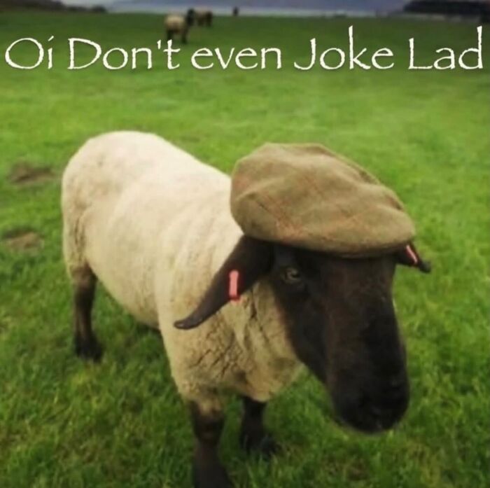 58 Animal Memes That Prove Nature Has A Very Strange Sense Of Humor
