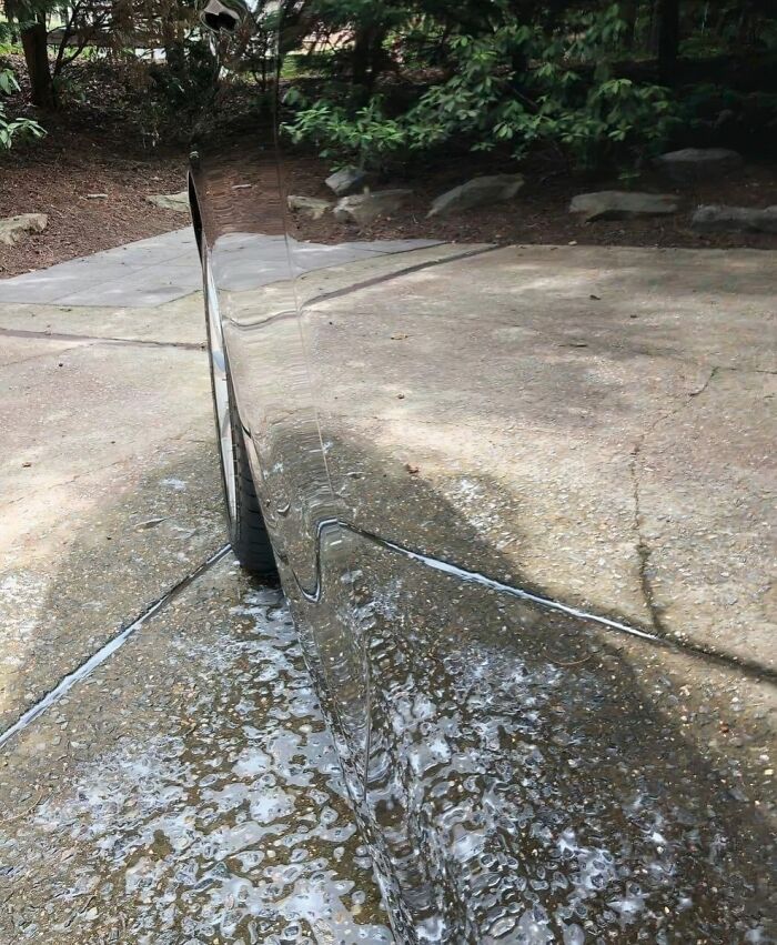 These 101 Photos Might Make You Wonder If Your Eyes Are Playing Tricks On You