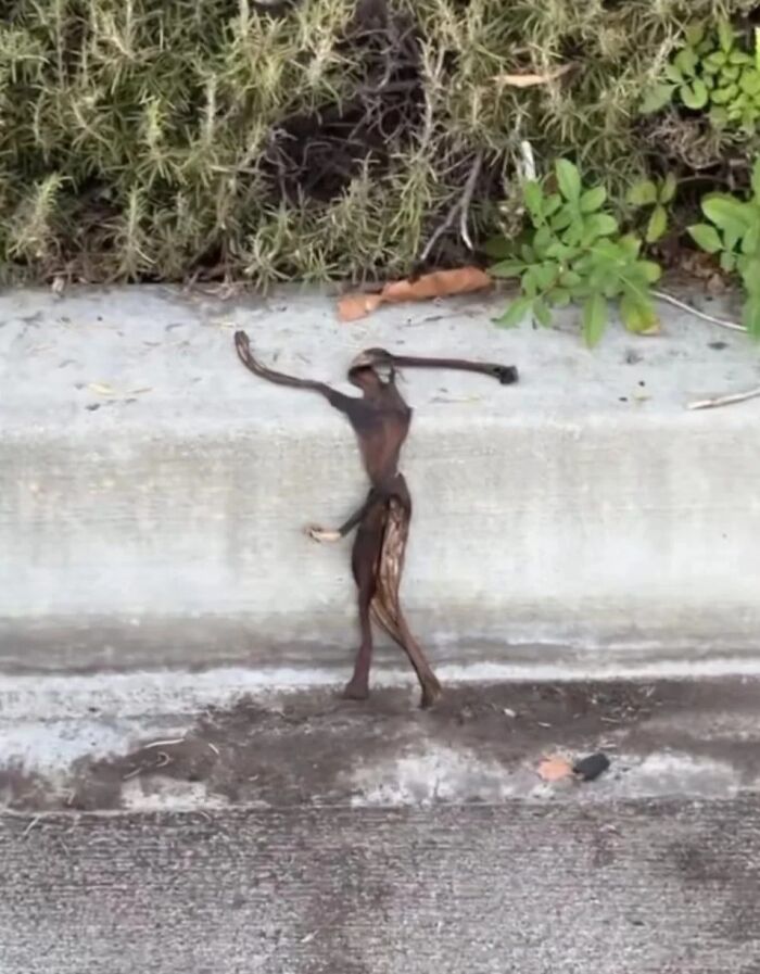 These 101 Photos Might Make You Wonder If Your Eyes Are Playing Tricks On You