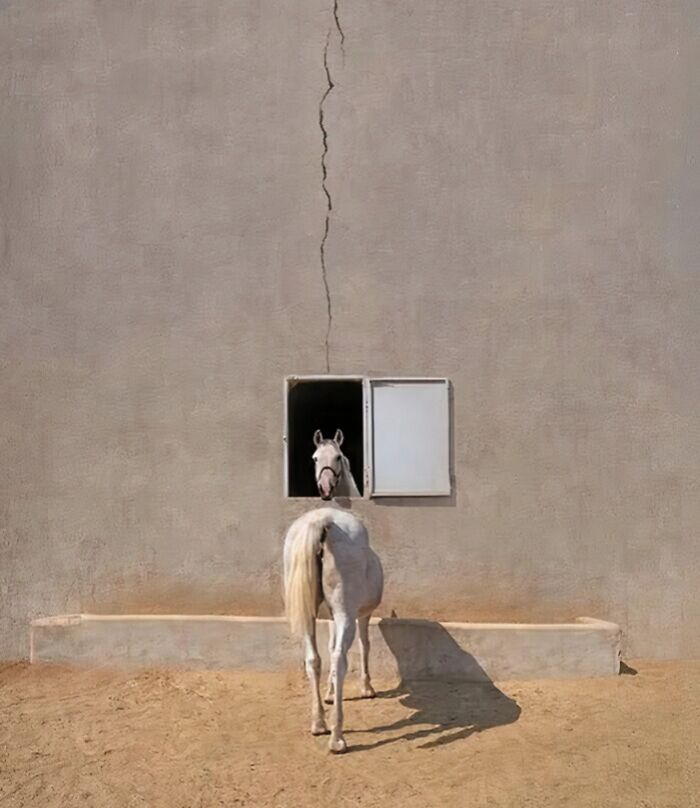 These 101 Photos Might Make You Wonder If Your Eyes Are Playing Tricks On You