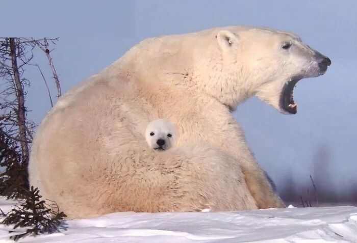 These 101 Photos Might Make You Wonder If Your Eyes Are Playing Tricks On You