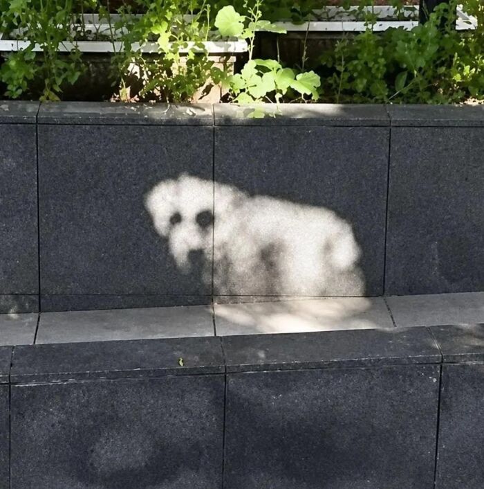 These 101 Photos Might Make You Wonder If Your Eyes Are Playing Tricks On You
