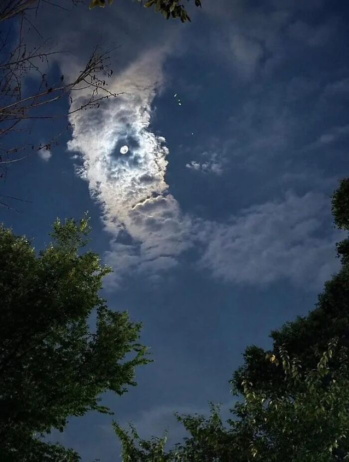 These 101 Photos Might Make You Wonder If Your Eyes Are Playing Tricks On You