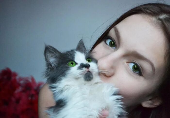 These 101 Photos Might Make You Wonder If Your Eyes Are Playing Tricks On You