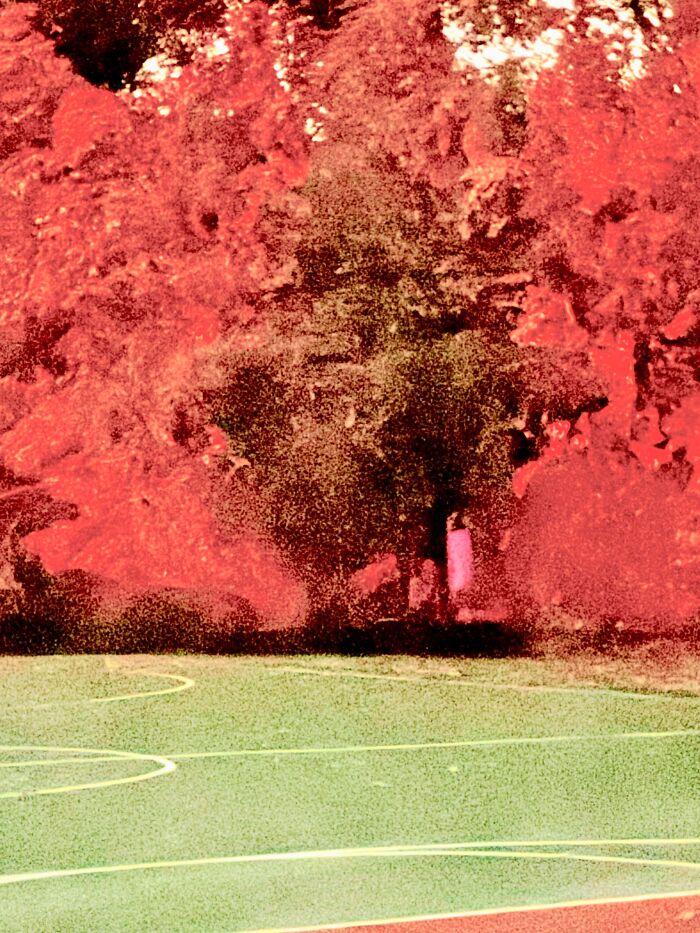 These 101 Photos Might Make You Wonder If Your Eyes Are Playing Tricks On You
