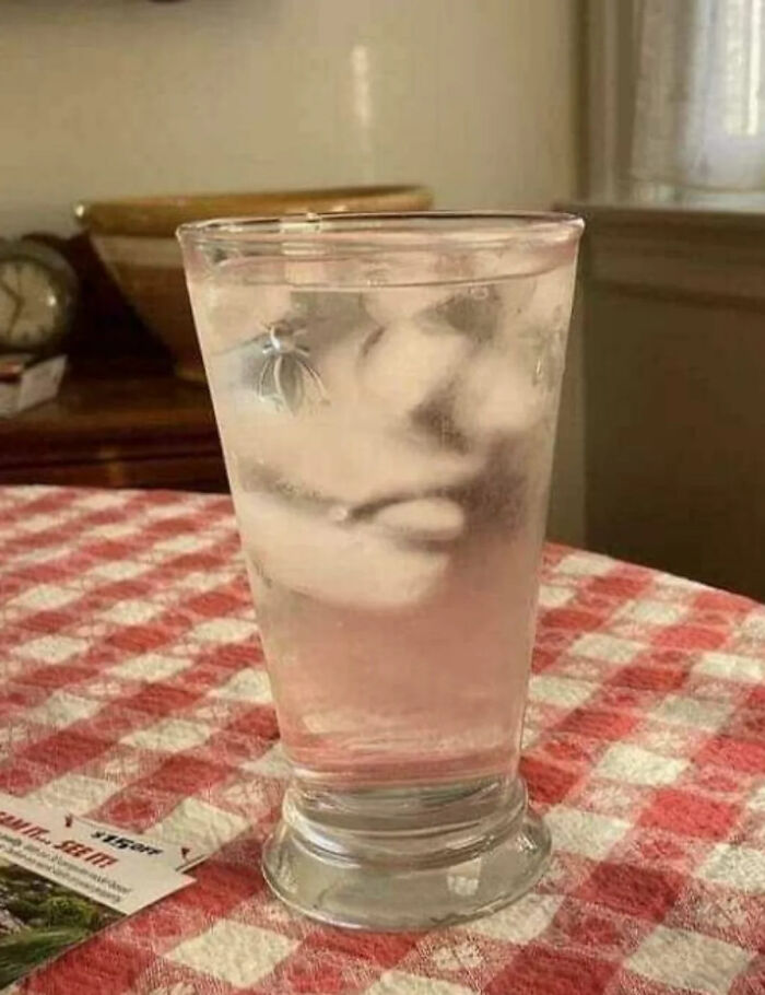 These 101 Photos Might Make You Wonder If Your Eyes Are Playing Tricks On You