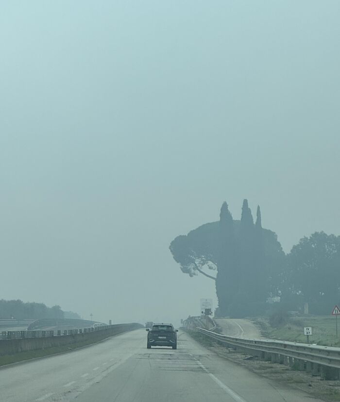 These 101 Photos Might Make You Wonder If Your Eyes Are Playing Tricks On You