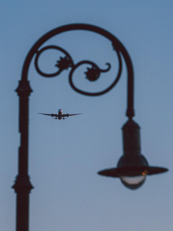 These 101 Photos Might Make You Wonder If Your Eyes Are Playing Tricks On You