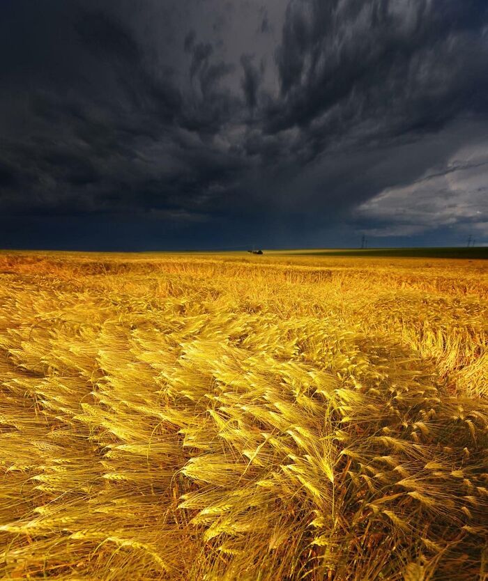 These 101 Photos Might Make You Wonder If Your Eyes Are Playing Tricks On You