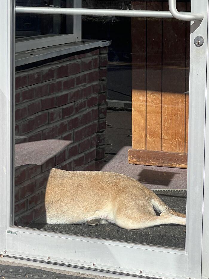 These 101 Photos Might Make You Wonder If Your Eyes Are Playing Tricks On You