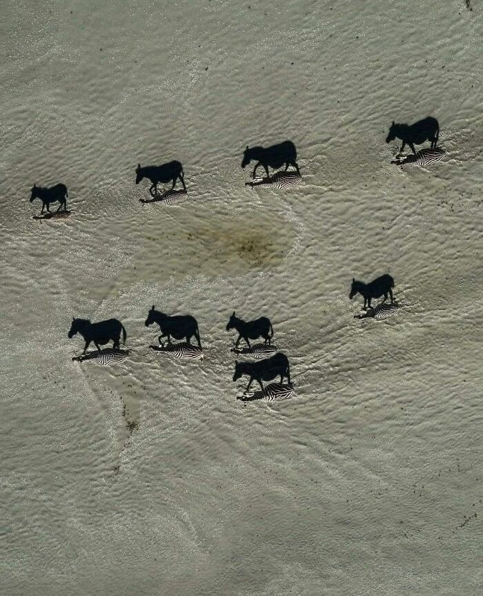 These 101 Photos Might Make You Wonder If Your Eyes Are Playing Tricks On You