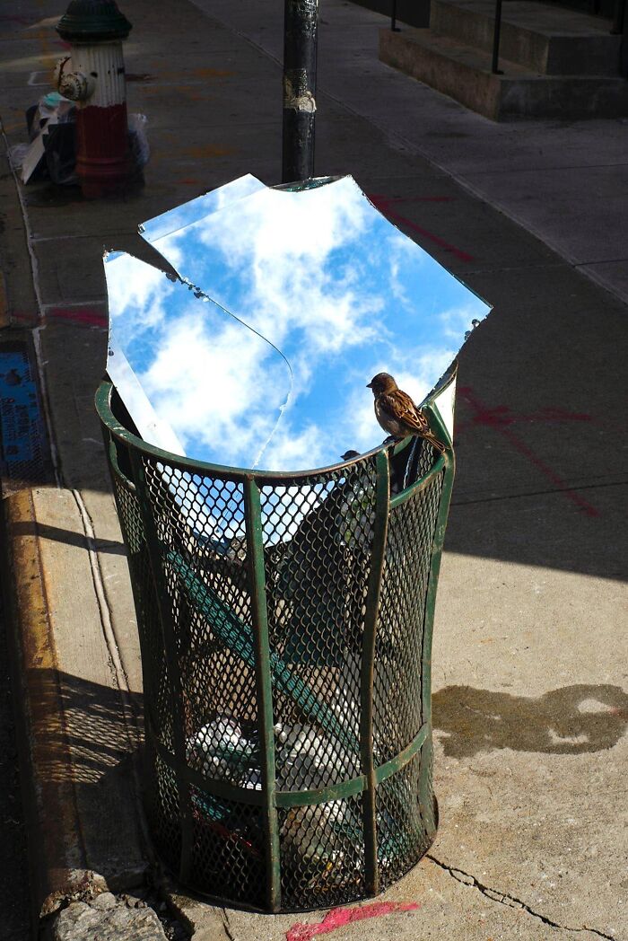 These 101 Photos Might Make You Wonder If Your Eyes Are Playing Tricks On You