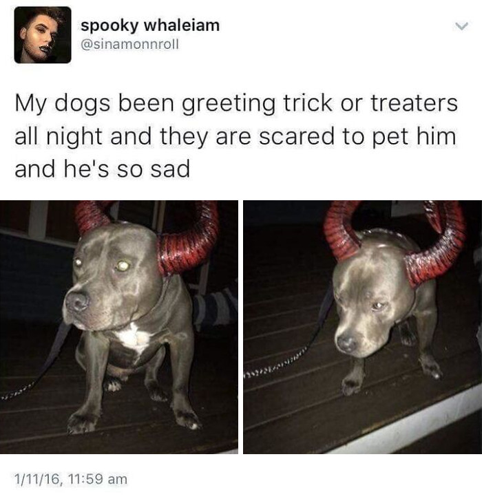 These 78 Halloween Memes Are Perfect For Those Who Like Their Spooky Season A Little Twisted