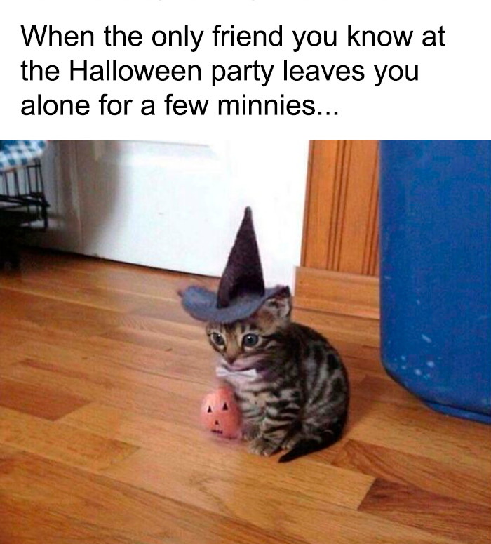 These 78 Halloween Memes Are Perfect For Those Who Like Their Spooky Season A Little Twisted