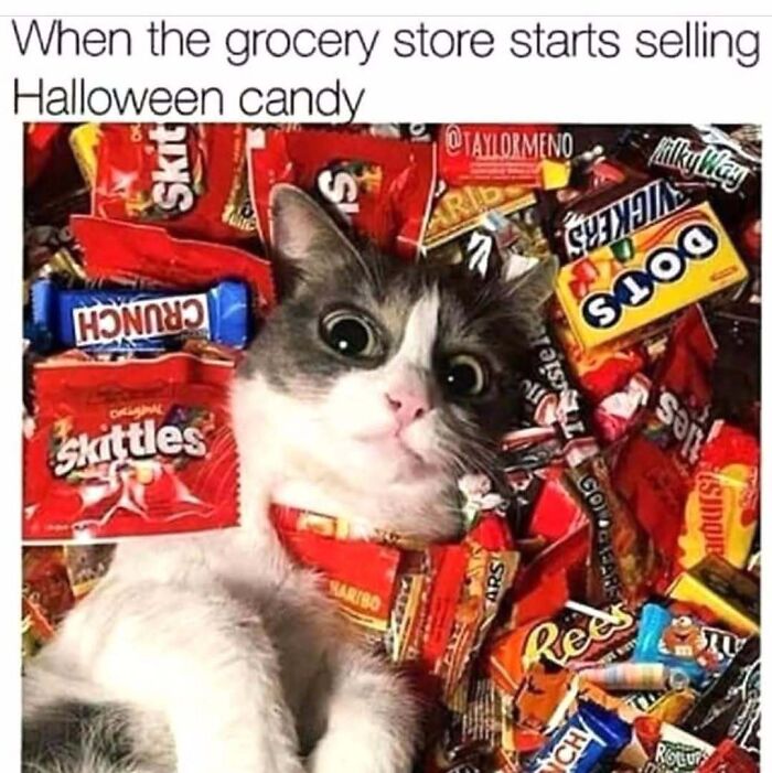 These 78 Halloween Memes Are Perfect For Those Who Like Their Spooky Season A Little Twisted