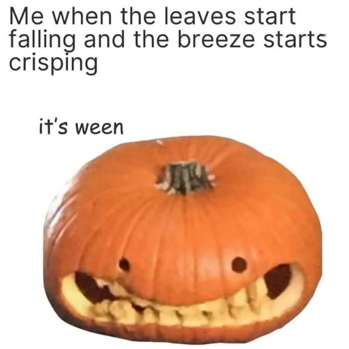 These 78 Halloween Memes Are Perfect For Those Who Like Their Spooky Season A Little Twisted