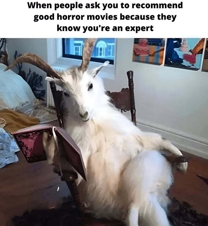 These 78 Halloween Memes Are Perfect For Those Who Like Their Spooky Season A Little Twisted