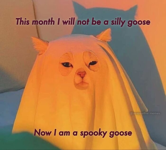 These 78 Halloween Memes Are Perfect For Those Who Like Their Spooky Season A Little Twisted