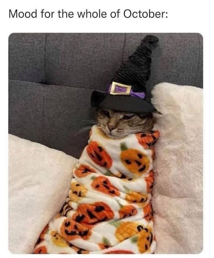 These 78 Halloween Memes Are Perfect For Those Who Like Their Spooky Season A Little Twisted