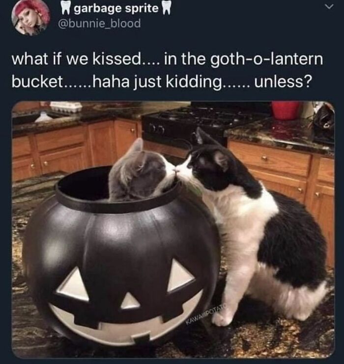 These 78 Halloween Memes Are Perfect For Those Who Like Their Spooky Season A Little Twisted