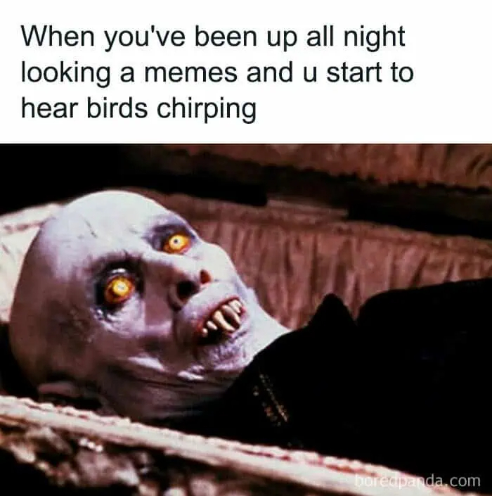 These 78 Halloween Memes Are Perfect For Those Who Like Their Spooky Season A Little Twisted