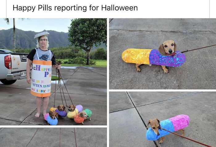 These 78 Halloween Memes Are Perfect For Those Who Like Their Spooky Season A Little Twisted
