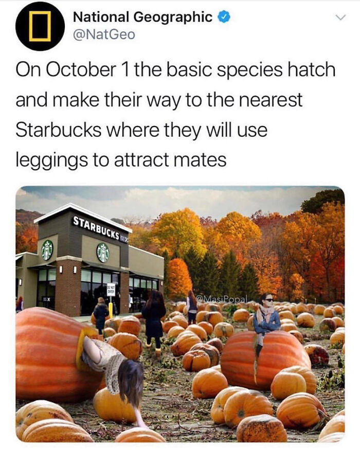 These 78 Halloween Memes Are Perfect For Those Who Like Their Spooky Season A Little Twisted