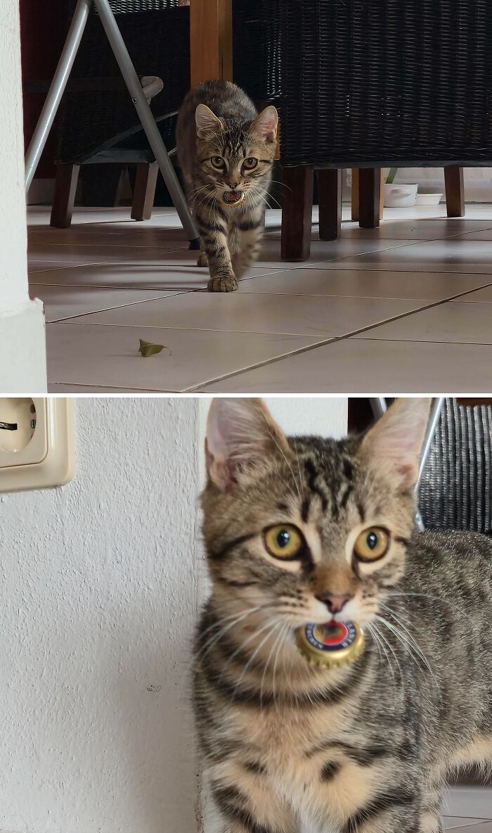 82 Wholesome Animal Pics That Might Be The Nicest Thing You See Today