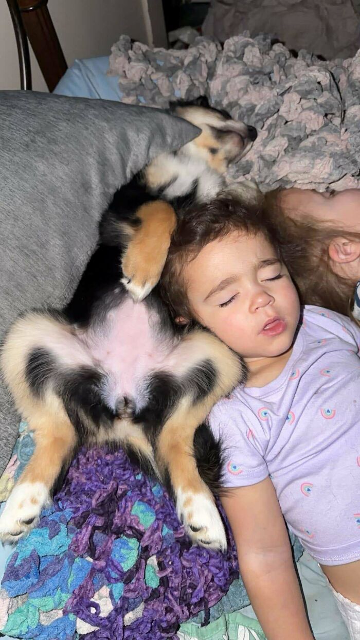 82 Wholesome Animal Pics That Might Be The Nicest Thing You See Today
